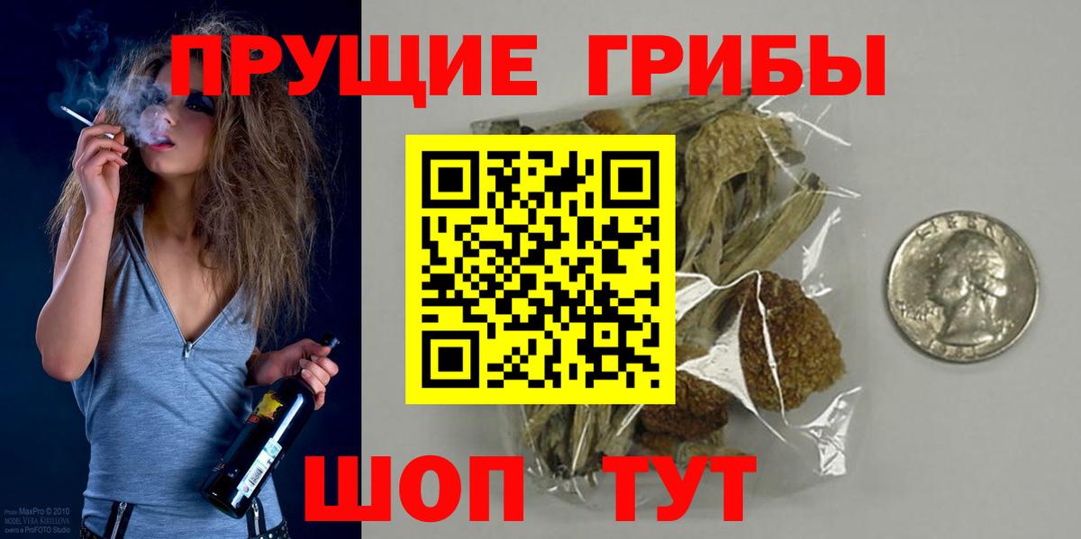 Псилоцибиновые грибы GOLDEN TEACHER Астрахань