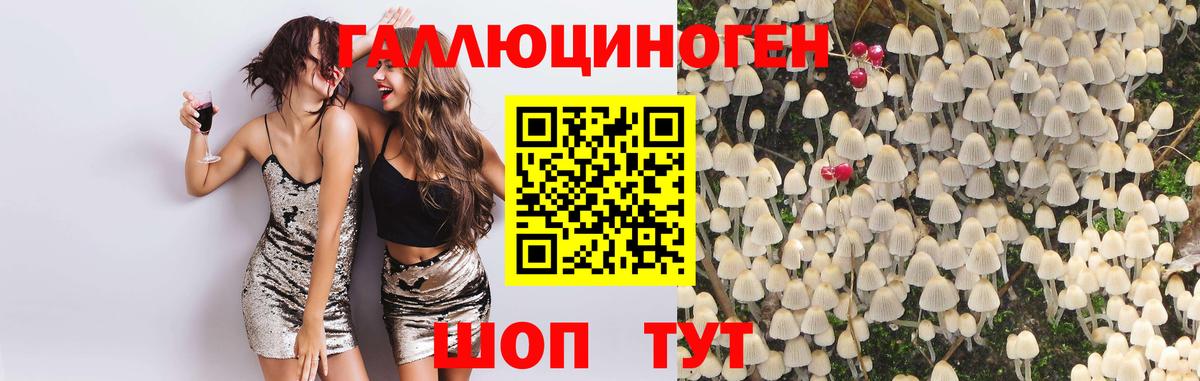 Астрахань  Псилоцибиновые грибы Psilocybine cubensis  Вход с VPN 